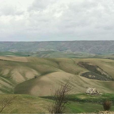 B&B Mantegna Irsina Mt Экстерьер фото
